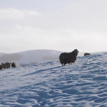Wren Dom wakacyjny Skipton
