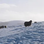 Wren Prázdninový dům Skipton