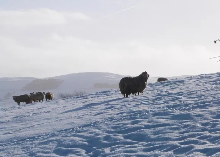 Wren Casa de Férias Skipton